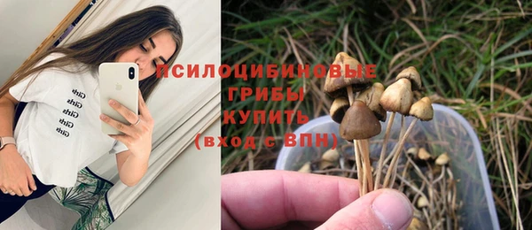 тгк Бугульма
