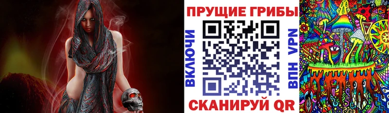 Псилоцибиновые грибы MAGIC MUSHROOMS  Купить  Дальнегорск 